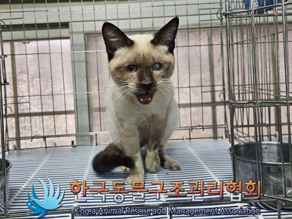 한국동물구조관리협회_441560202400160